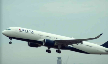 delta flight dl275 diverted lax