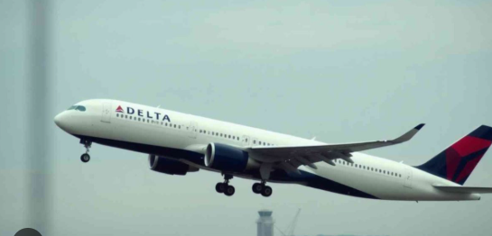 delta flight dl275 diverted lax